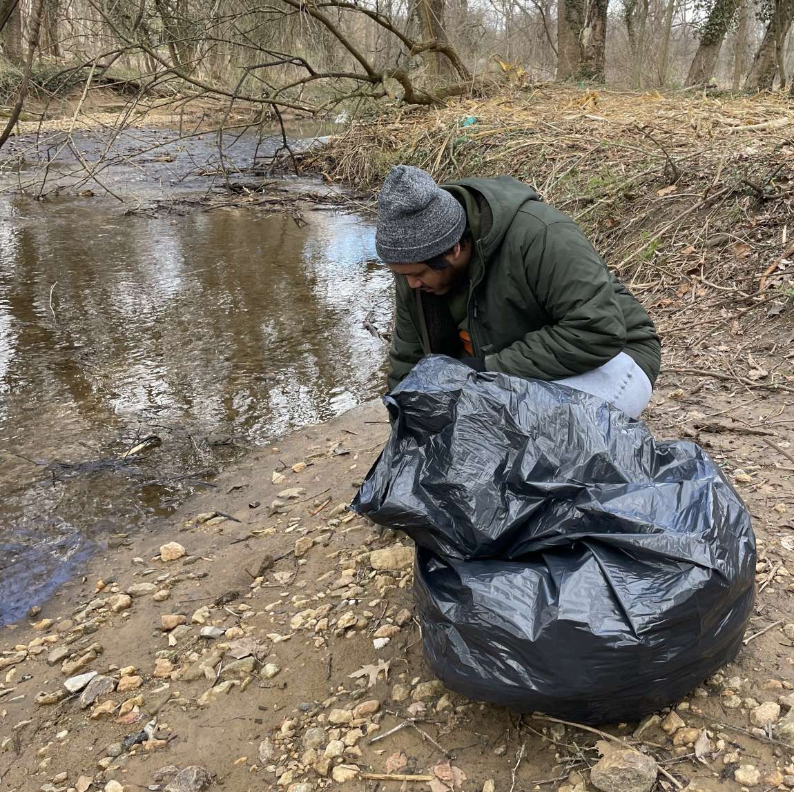 Park Cleanups